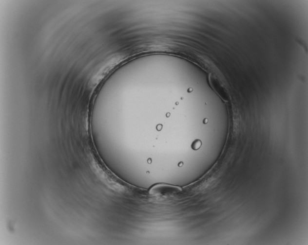 X0000103490938200809261947