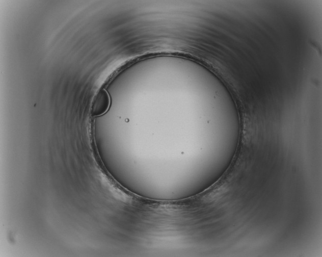 X0000103490942200809261947