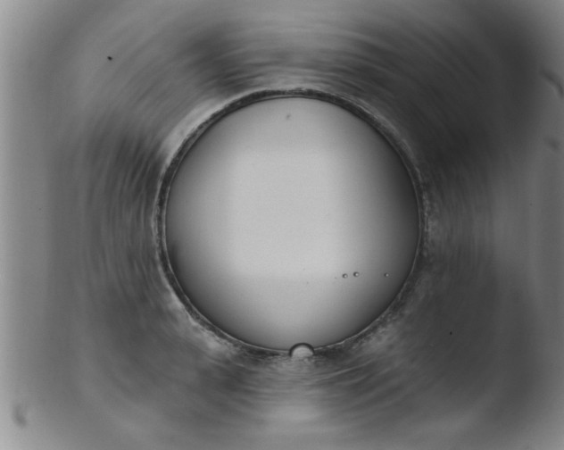 X0000103490943200809261948