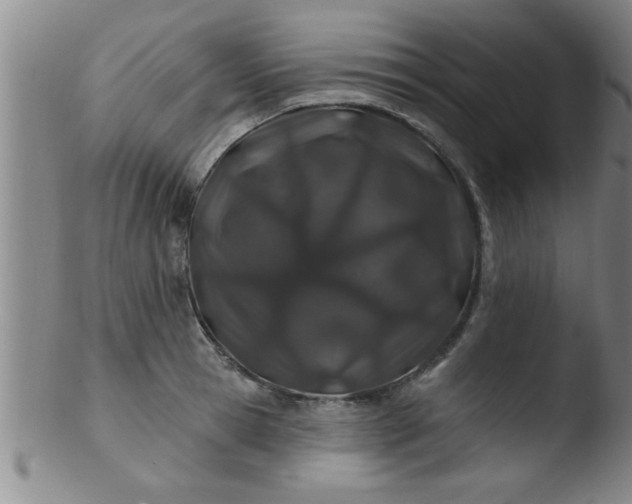 X0000103490945200809261948