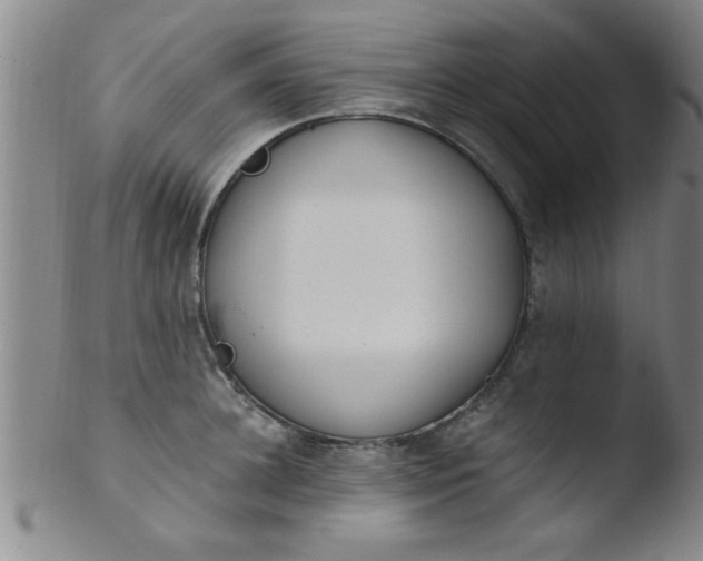 X0000103490948200809261948