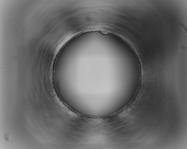 X0000103490949200809261948