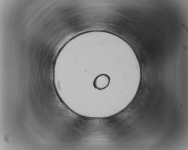 X0000103490950200809261948