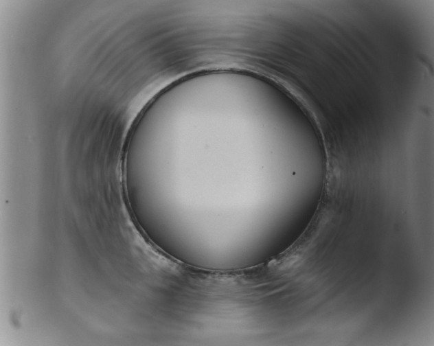 X0000103490951200809261948