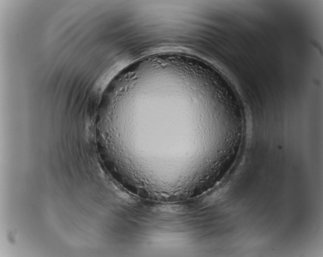 X0000103490953200809261948