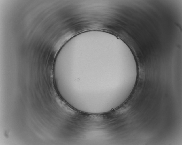 X0000103490954200809261948