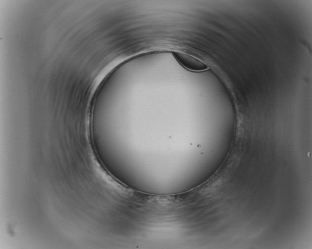 X0000103490955200809261948