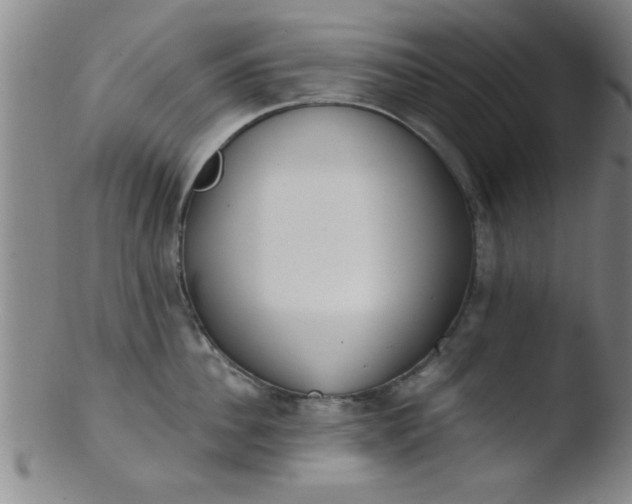 X0000103490956200809261948