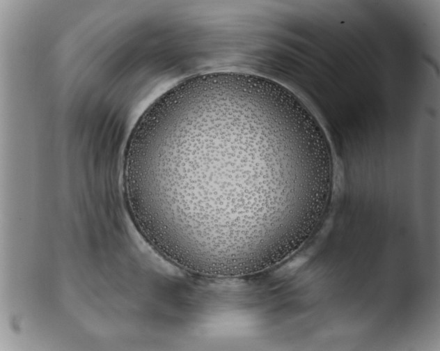 X0000103490957200809261948