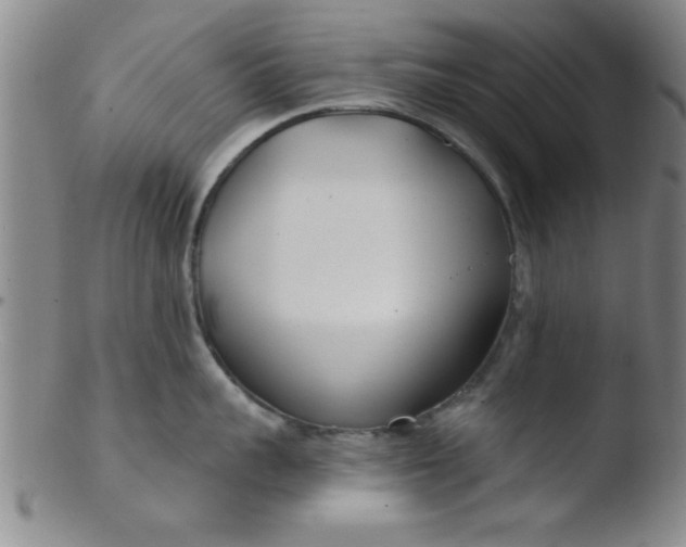 X0000103490959200809261948