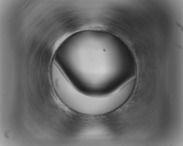 X0000103490960200809261948