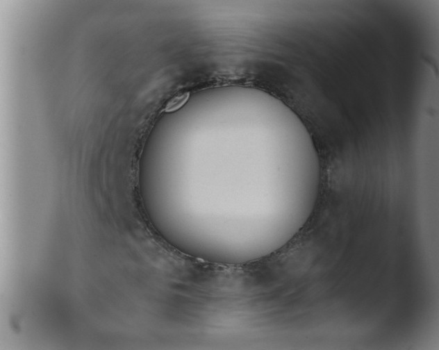 X0000103490961200809261947