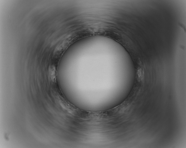 X0000103490963200809261947