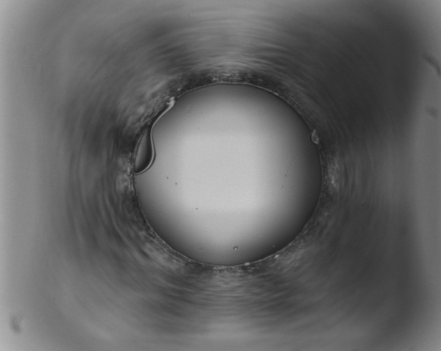 X0000103490964200809261947