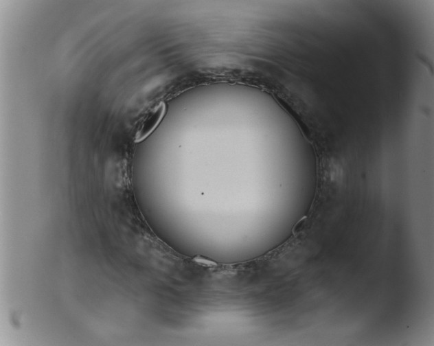 X0000103490965200809261947