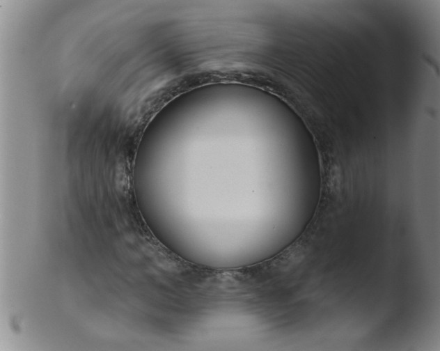 X0000103490966200809261947