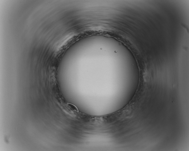 X0000103490968200809261947