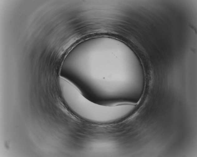 X0000103490969200809261947