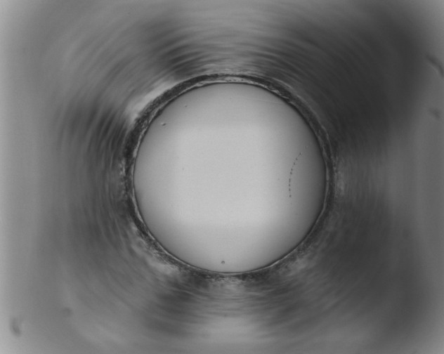 X0000103490971200809261947