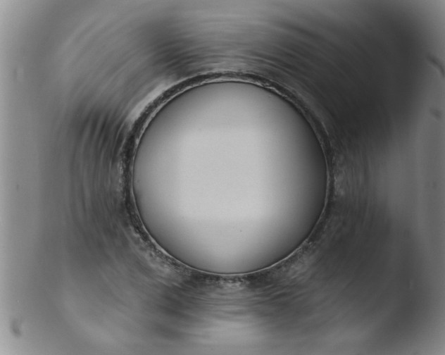 X0000103490975200809261947