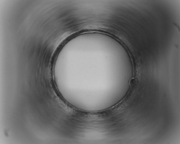 X0000103490976200809261947