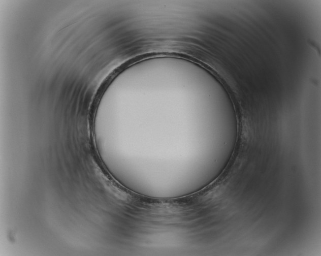 X0000103490980200809261947