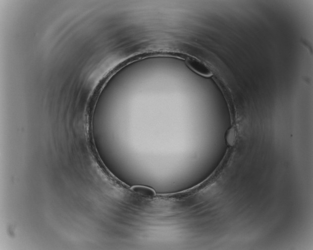 X0000103490981200809261947