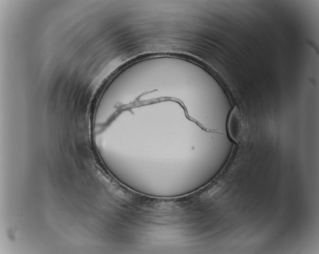 X0000103490982200809261947