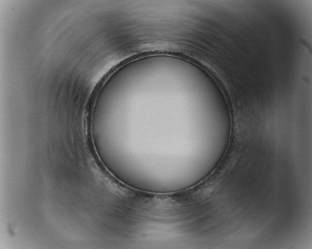 X0000103490983200809261947