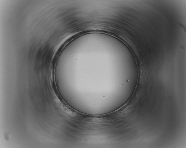 X0000103490984200809261947