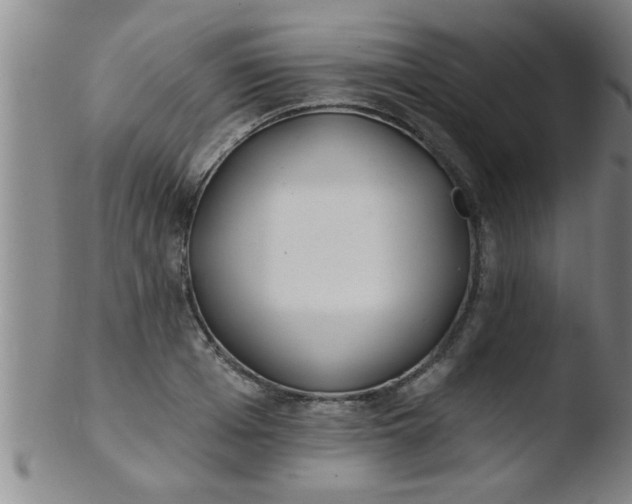 X0000103490985200809261947