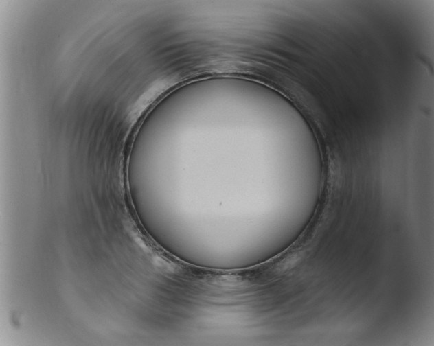 X0000103490986200809261947