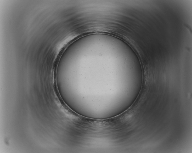 X0000103490987200809261947