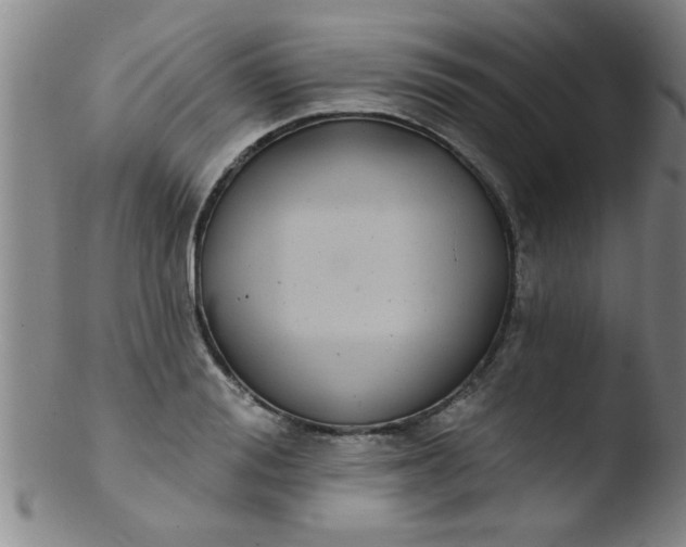 X0000103490988200809261947