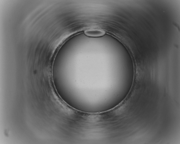 X0000103490989200809261947