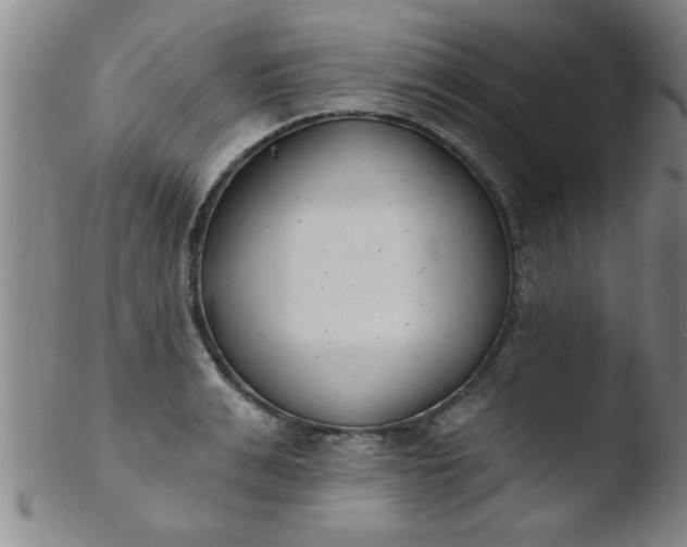 X0000103490991200809261946