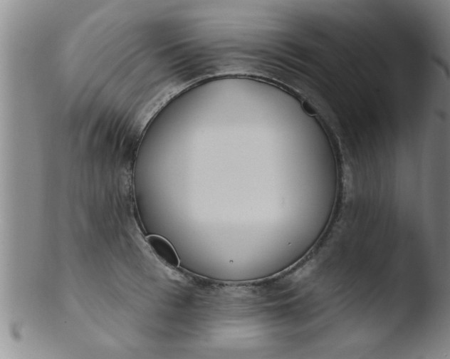 X0000103490993200809261946