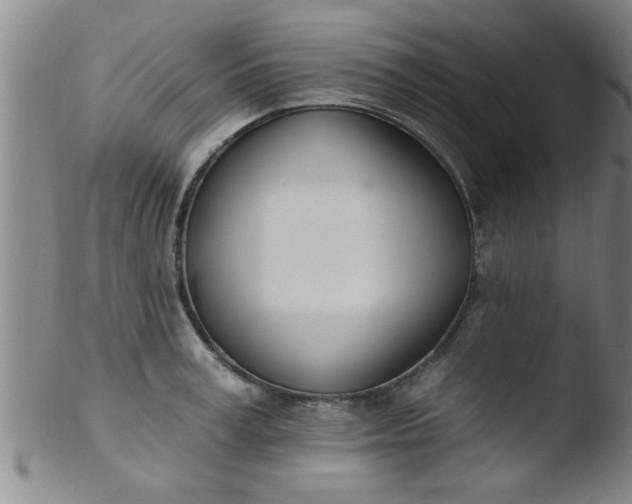 X0000103490995200809261946