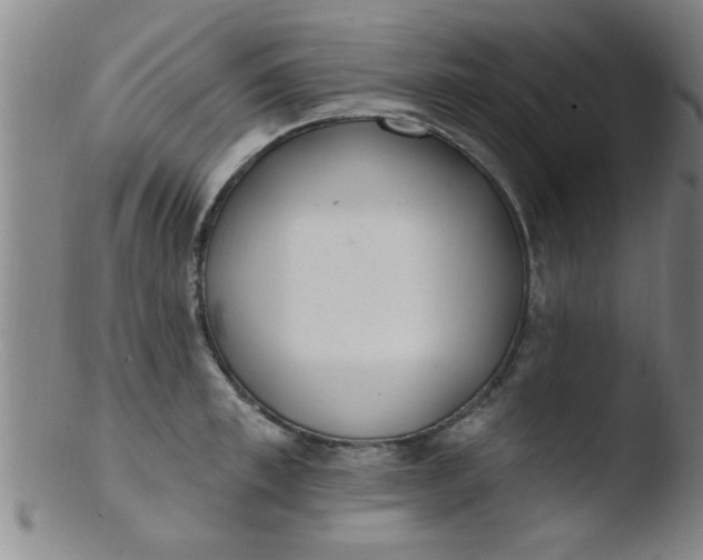 X0000103490997200809261946