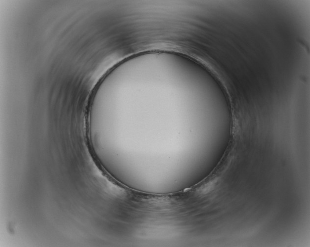 X0000103490999200809261946