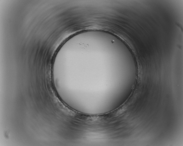 X0000103491000200809261946