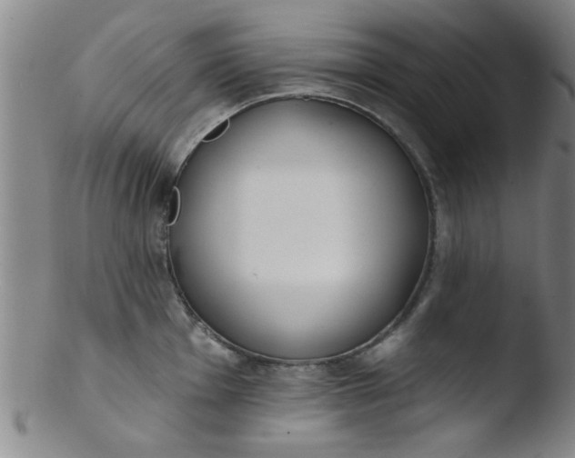 X0000103491001200809261946