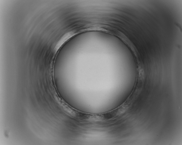 X0000103491002200809261946