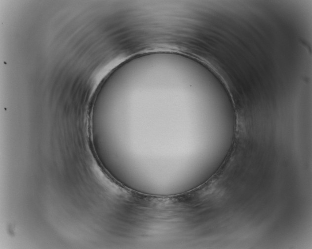 X0000103491003200809261946