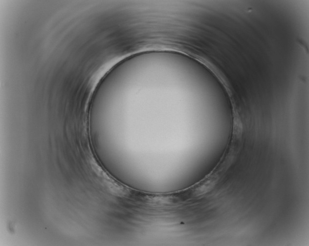 X0000103491004200809261946