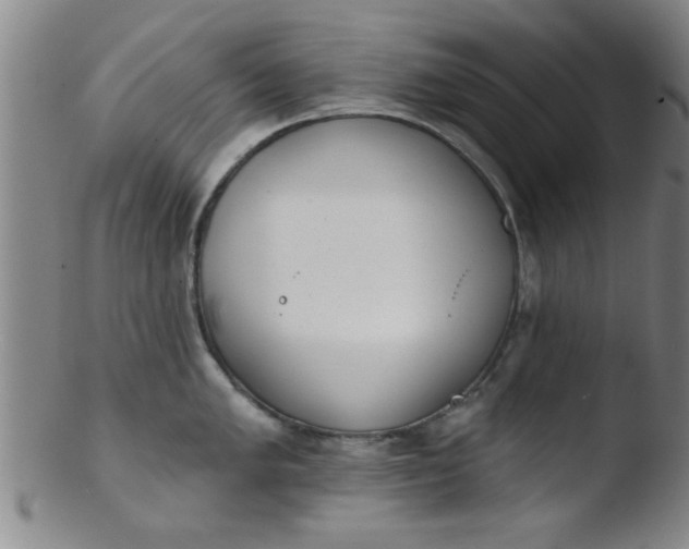 X0000103491005200809261946