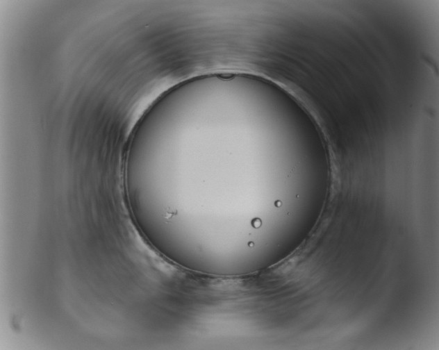 X0000103491006200809261946