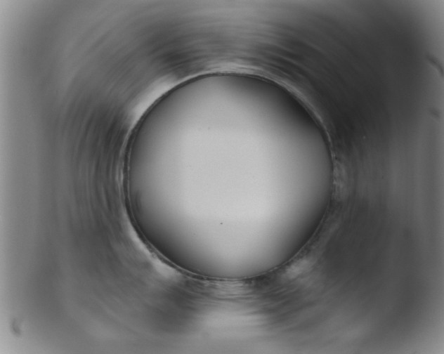 X0000103491007200809261946