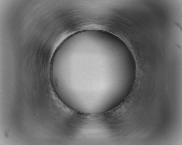 X0000103491008200809261946