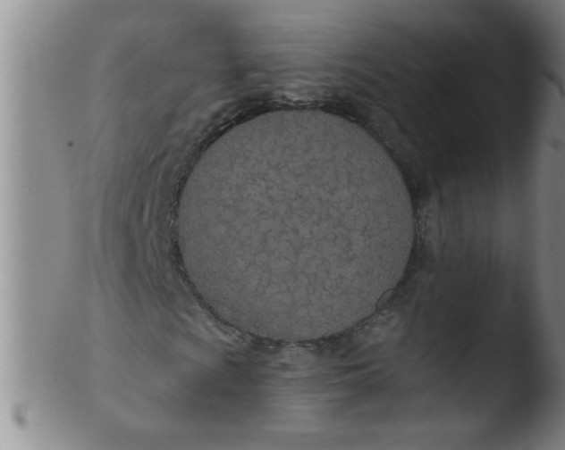 X0000103491009200809261945